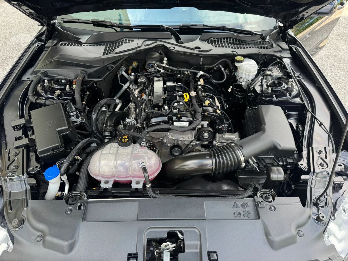 2021 Ford Mustang